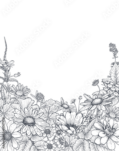 Floral backgrounds with hand drawn wildflowers and plants. Monochrome vector illustration