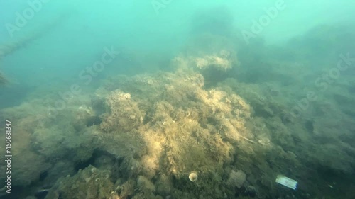 Wallpaper Mural Camera descends under the murky water and opens up a view of something sunken, covered with algae and lying on the ocean floor, close up. Deep sea exploration. Torontodigital.ca