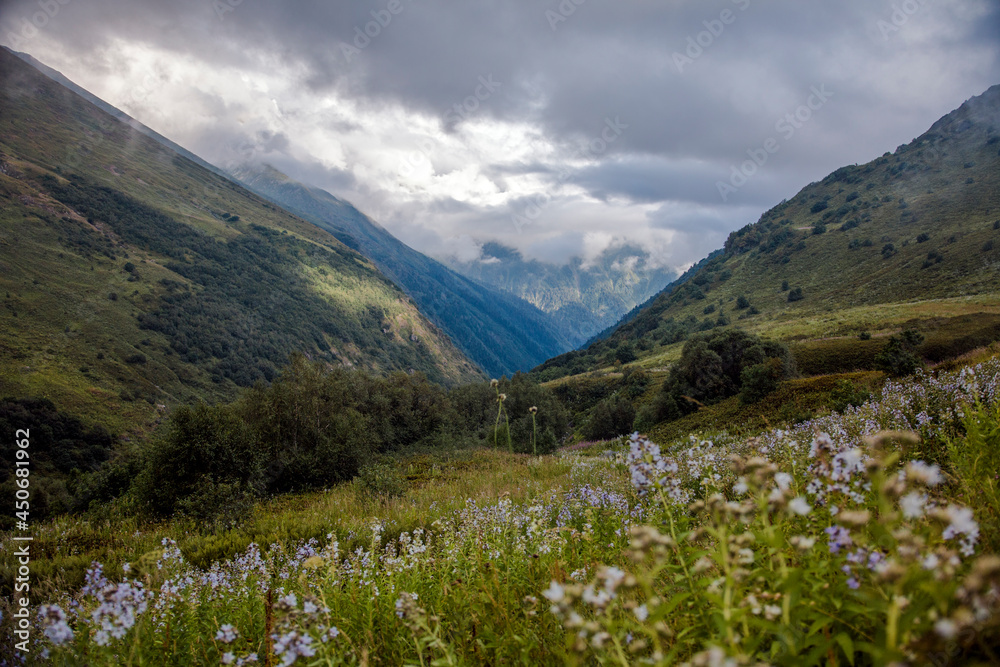 Green mountain Valley in the mountains of Sochi, Russia. Picturesque view, wild flowers. Clouds and blue sky. Krasnaya Polyana.