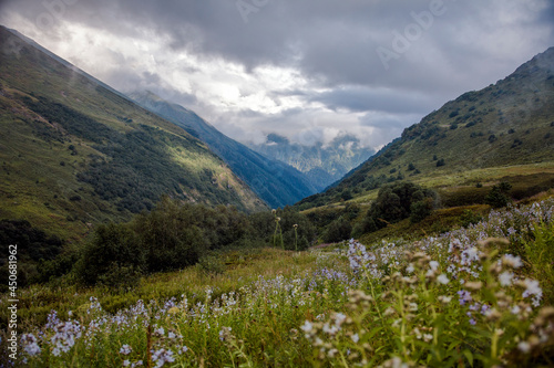 Green mountain Valley in the mountains of Sochi, Russia. Picturesque view, wild flowers. Clouds and blue sky. Krasnaya Polyana.