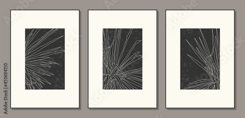 Set of minimalist botanical palm leaves abstract collage posters © C Design Studio