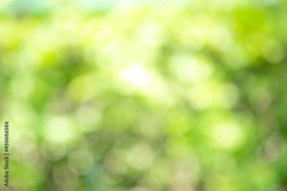 Bokeh blur tree nature background with sunlight on summer. Spring season. Bokeh blur tree nature background with sunlight on summer. Spring season.