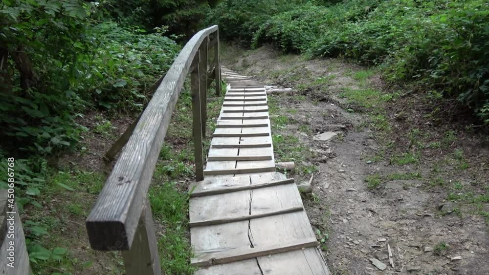 A wooden walkway in forest with green bushes and wooden fence A wooden walkway in forest with green bushes and wooden fence