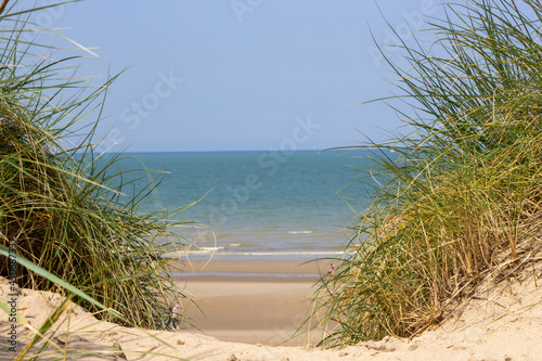 Belle vue sur la plage  sable dor  