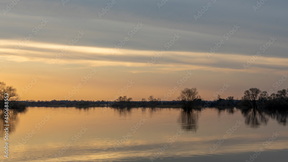 Fototapeta premium Flooded trees during a period of high water at sunset. Trees in water at dusk. Landscape with spring flooding of Pripyat River near Turov, Belarus. Nature and travel concept.