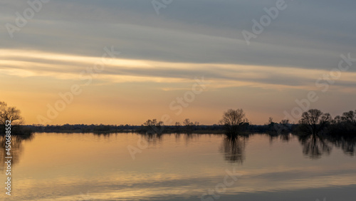 Flooded trees during a period of high water at sunset. Trees in water at dusk. Landscape with spring flooding of Pripyat River near Turov, Belarus. Nature and travel concept.