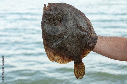 Foto Man holding a freshly caught flounder in his hands against the background of the sea