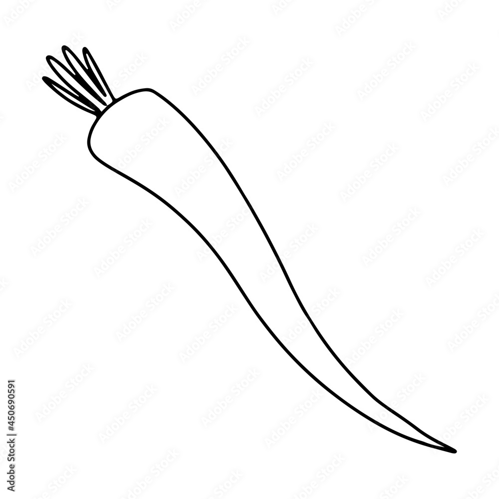 Contour ink doodle vegetable carrot. Digital art. Print for logo, menu, cafe, food, packaging, sticker Contour ink doodle vegetable carrot. Digital art. Print for logo, menu, cafe, food, packaging, sticker