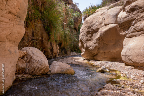 Water stream. Mountain river. Wadi Rum canyon, Jordan. Travel pfotography