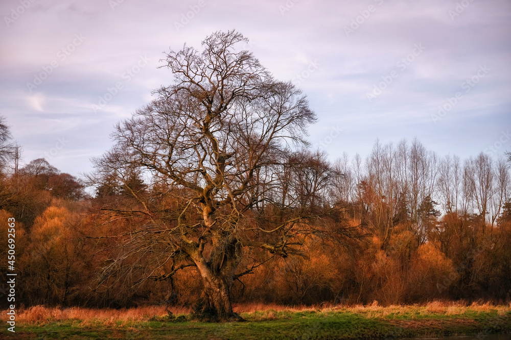 Bank of the river in autumn Bank of the river in autumn