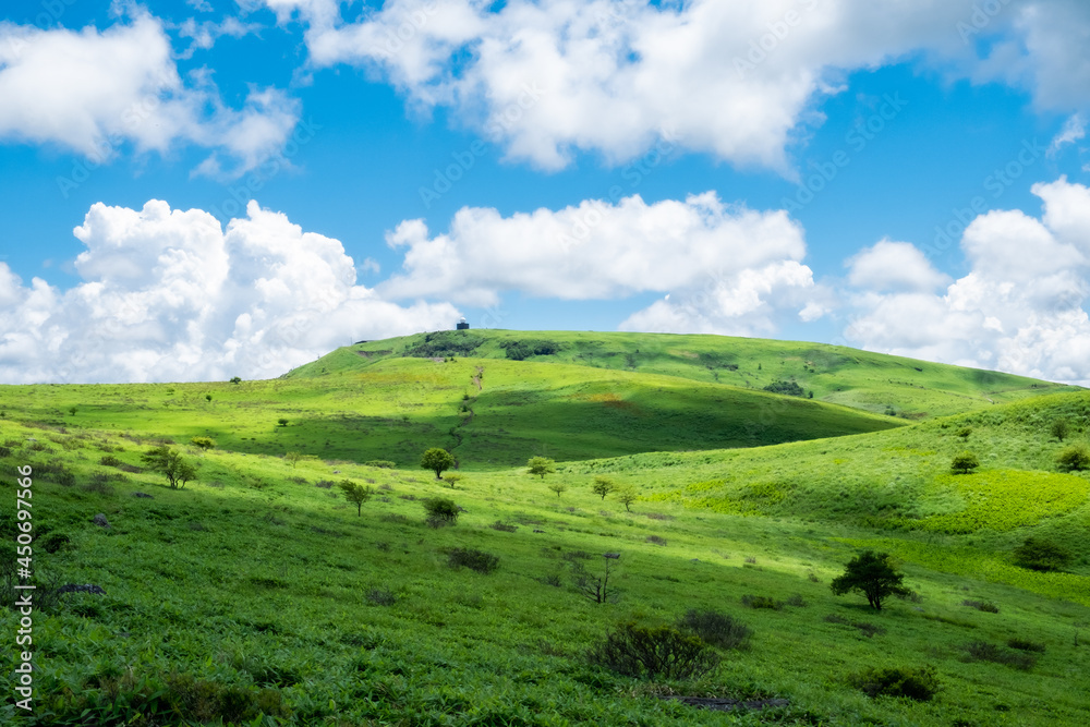 Obraz premium のどかな風景