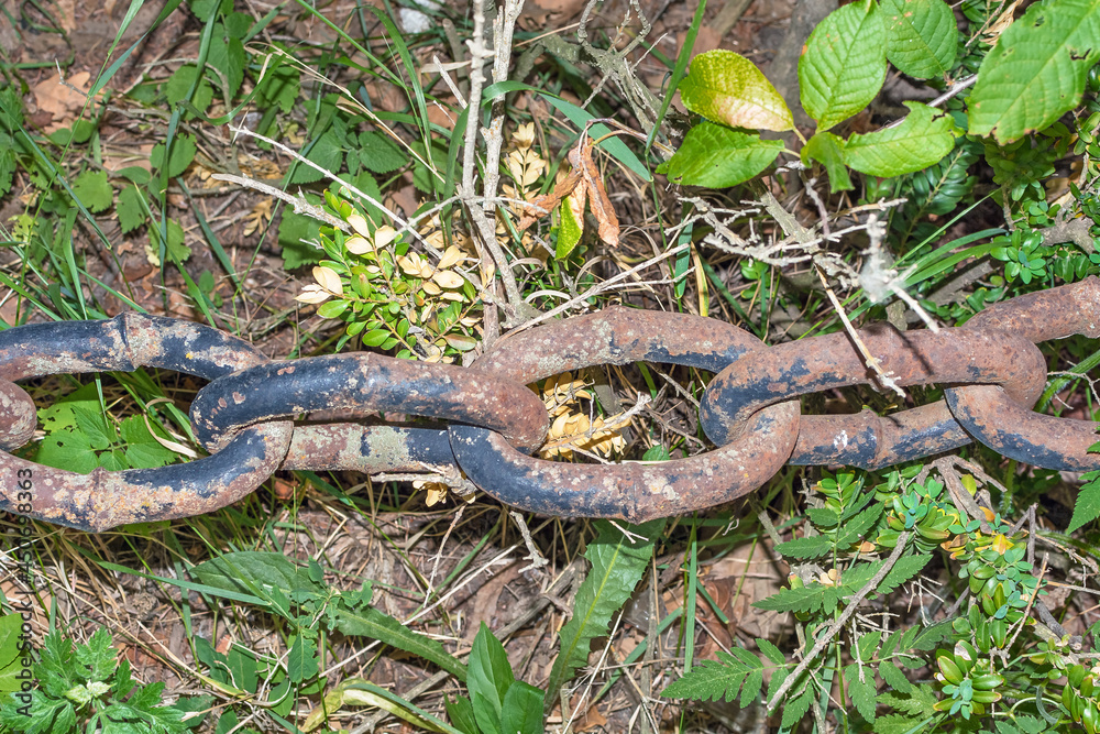 Rusty chain close up on the grass Rusty chain close up on the grass