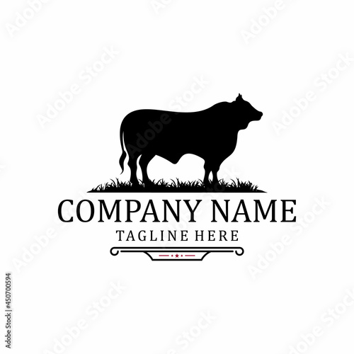 Retro Vintage Angus Cattle / Livestock logo design
