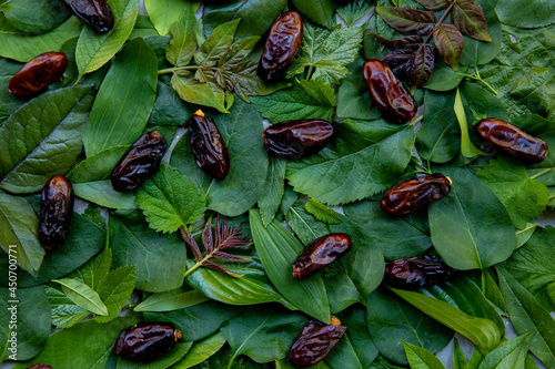Dates fruit on green leaves. Pattern of fresh leaves and vegetarian food. Ramadan concept. Healthy sweets.