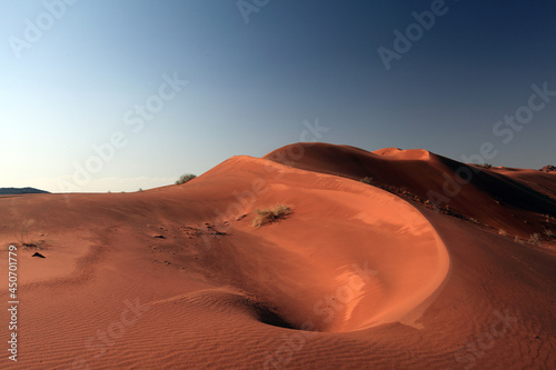 Fototapeta Naklejka Na Ścianę i Meble -  desert sand dunes