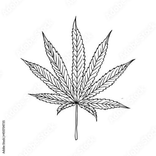 a cannabis. a marijuana leaf vector illustration. uncolored hand drawn of a hemp leaf graphic element. leaf outline illustration on white background.