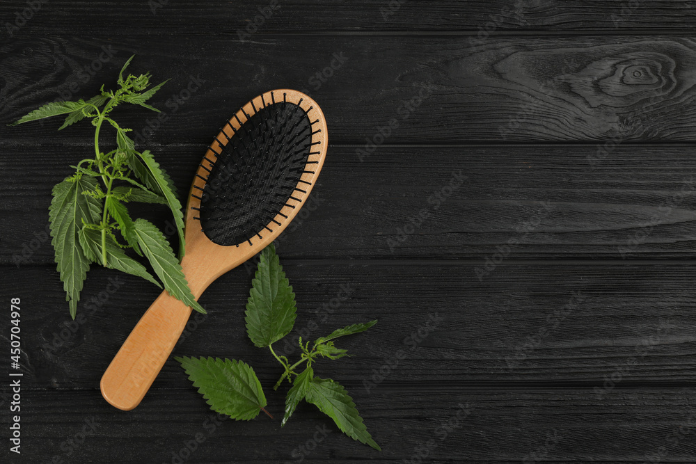 Stinging nettle and brush on black wooden background, flat lay with space for text. Natural hair care