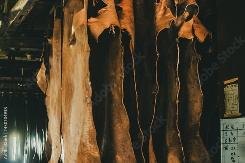 At a leather tanning factory photo