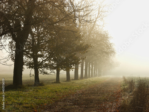 Paysages de Touraine, Nouzilly, Gatine Tourangele, France