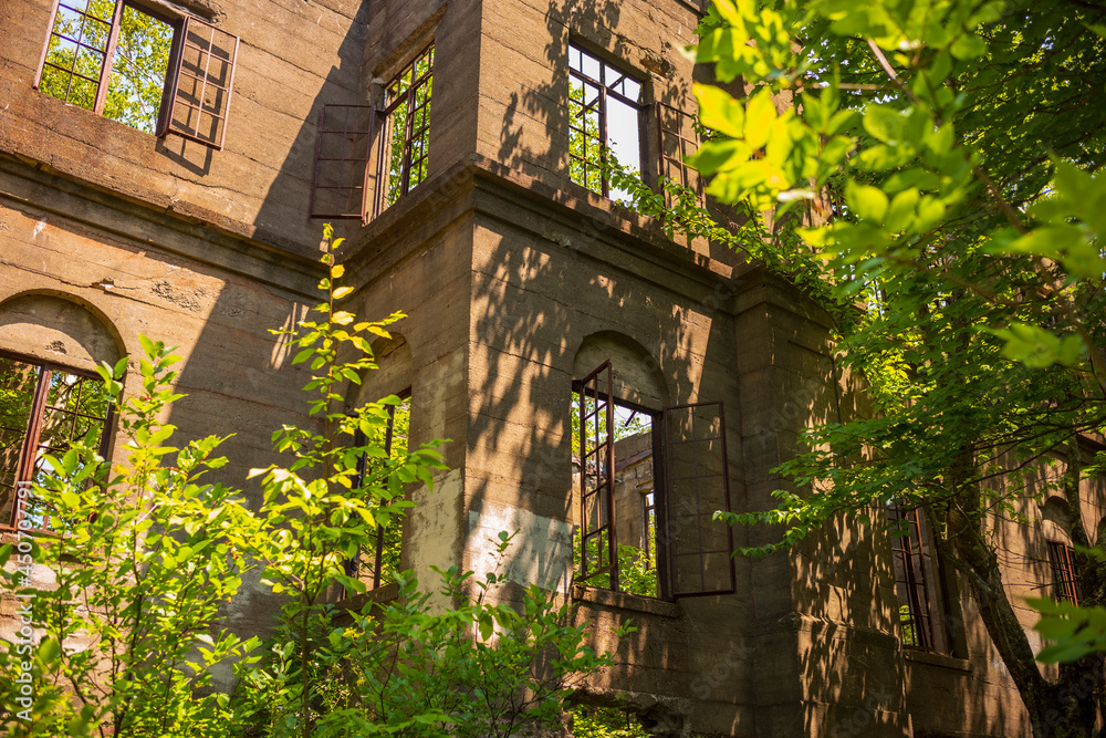 The Skeletal Remains of a Overlook Mountain House near Woodstock, New York