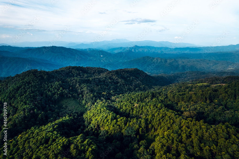 Mountains and summer green forests