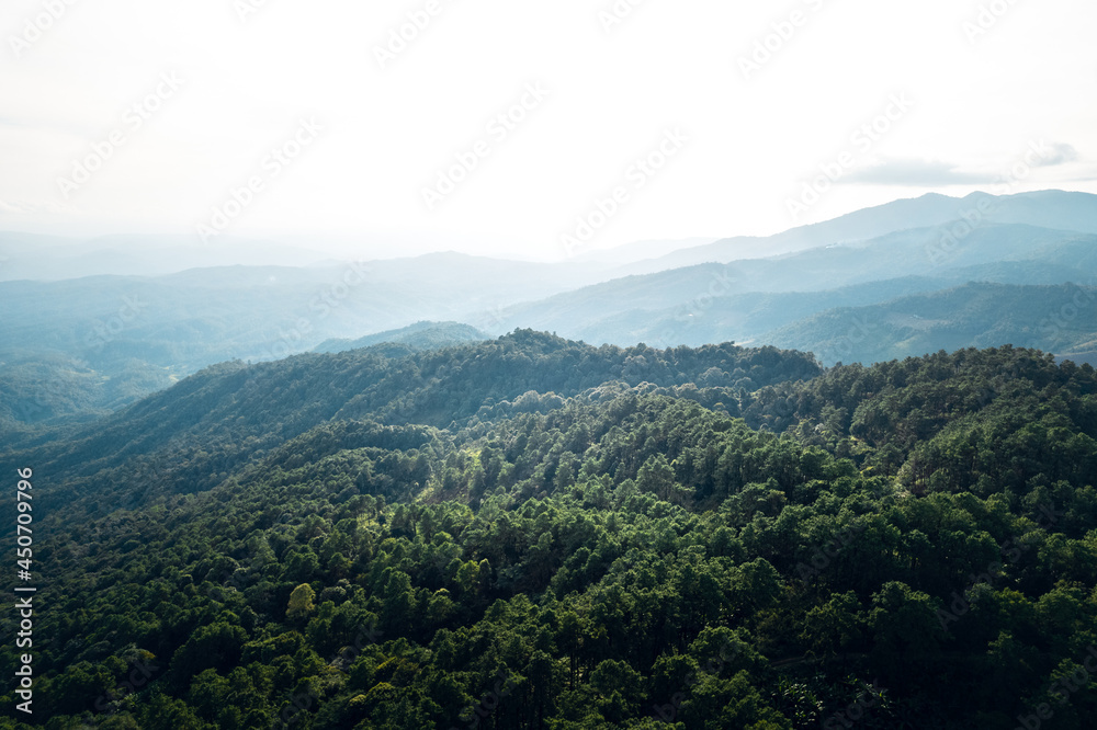 Naklejka premium Mountains and summer green forests
