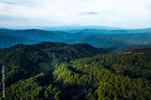 Mountains and summer green forests