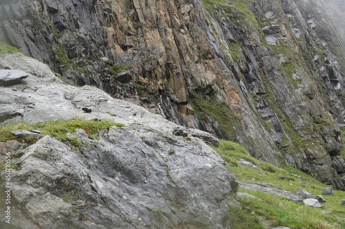 Iseltrail Hochgebirgs-Etappe: Wanderung zur Clarahütte, Murmeltiere inklusive