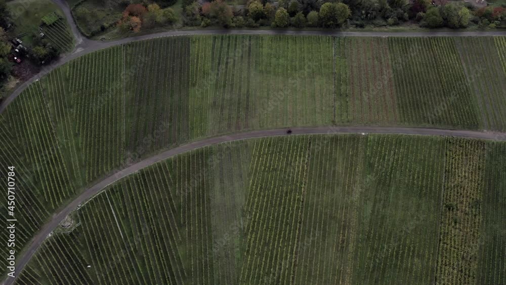 Vineyard in Kernen im Remstal, Stuttgart, Germany, Drone