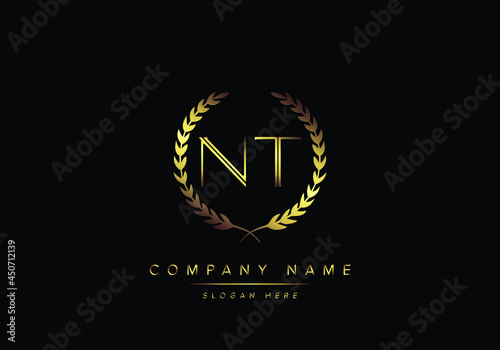 Alphabet letters NT monogram logo, gold color, luxury style photo