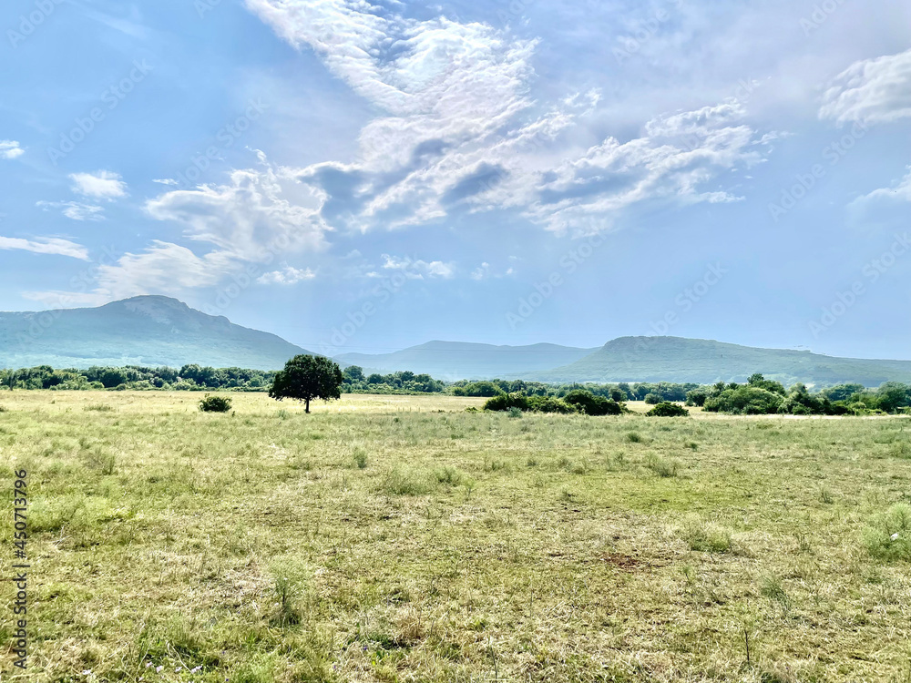 gorgeous summer landscape scene with field, mountain and blue sky gorgeous summer landscape scene with field, mountain and blue sky