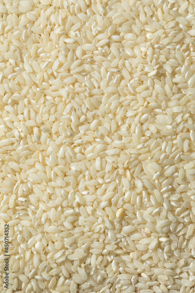 Raw White Organic Arborio Rice Raw White Organic Arborio Rice