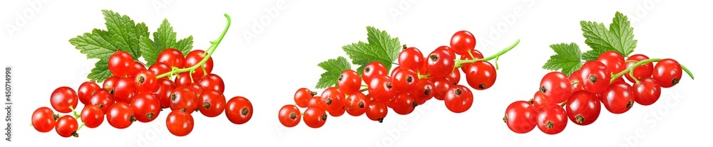 Red currant clusters set isolated on white background