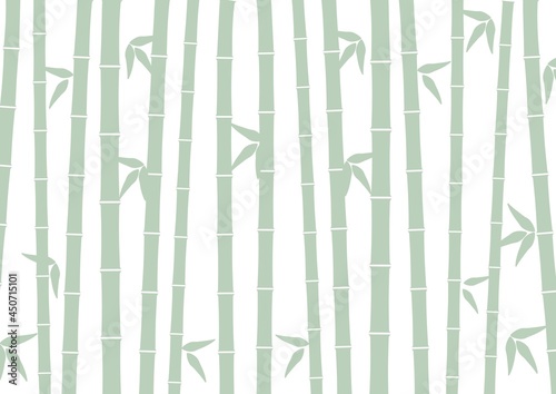 Fototapeta Naklejka Na Ścianę i Meble -  緑色のシンプルな竹林の背景