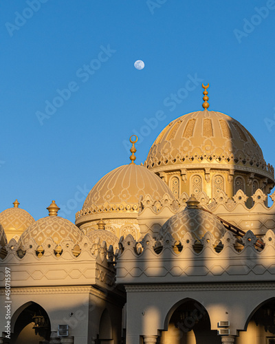 Mesquita