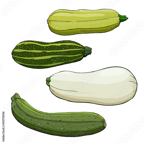 squash and zucchini set