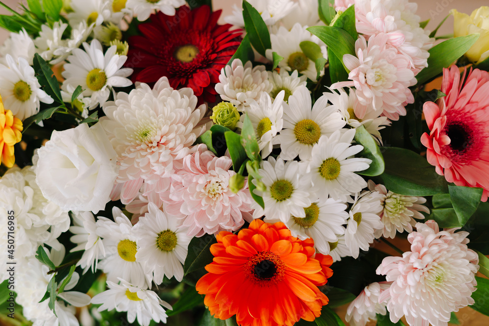 Abstract background of flowers chrysanthemums and gerberas. Close up. Abstract background of flowers chrysanthemums and gerberas. Close up.