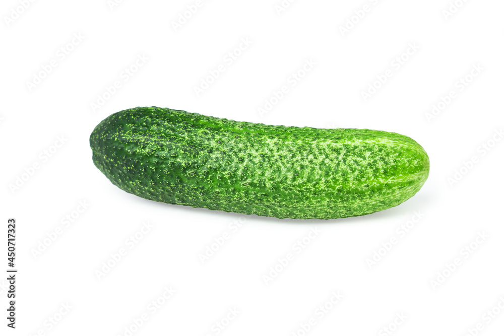 Fresh prickly cucumber isolated on white background. Fresh prickly cucumber isolated on white background.