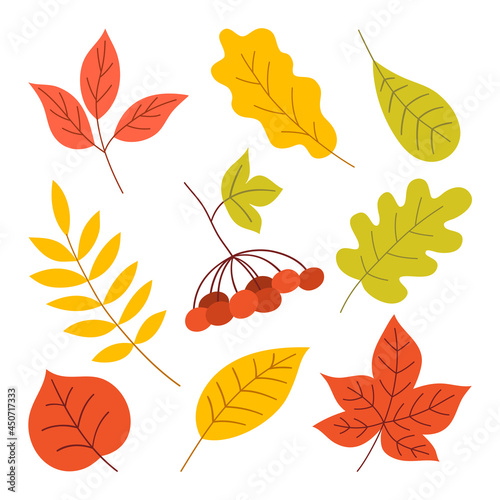 Set of Autumn Leaves. Flat Illustration Isolated on White Background. Simple Colorful Flat Style.