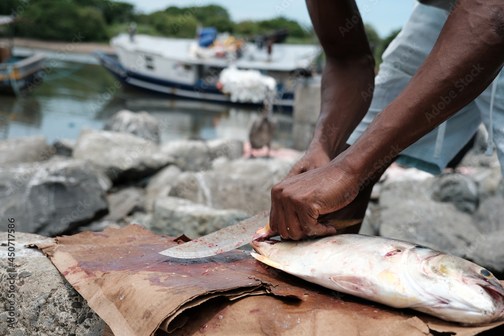 Fisherman skinning a fish in a fishing village