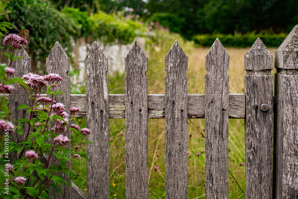 old picket fence in to field