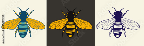 hand drawn sketch of bee, vector artwork, bee logo, honey bee on white background