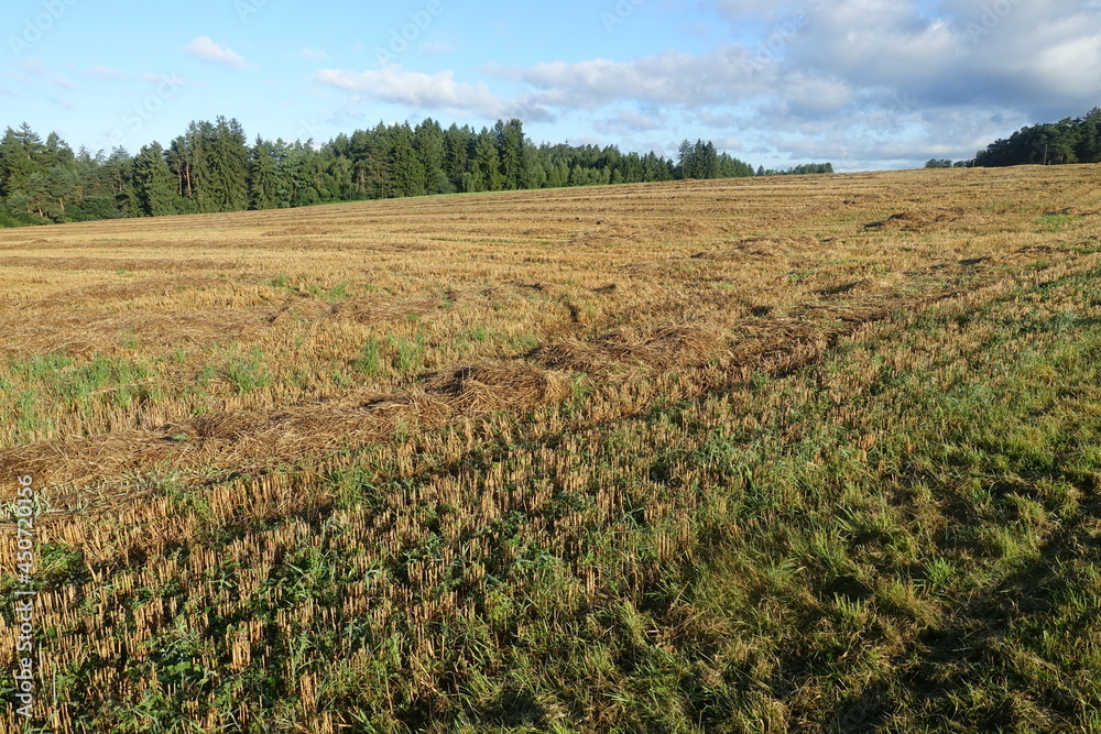 Landwirtschaftliche Felder Landwirtschaftliche Felder