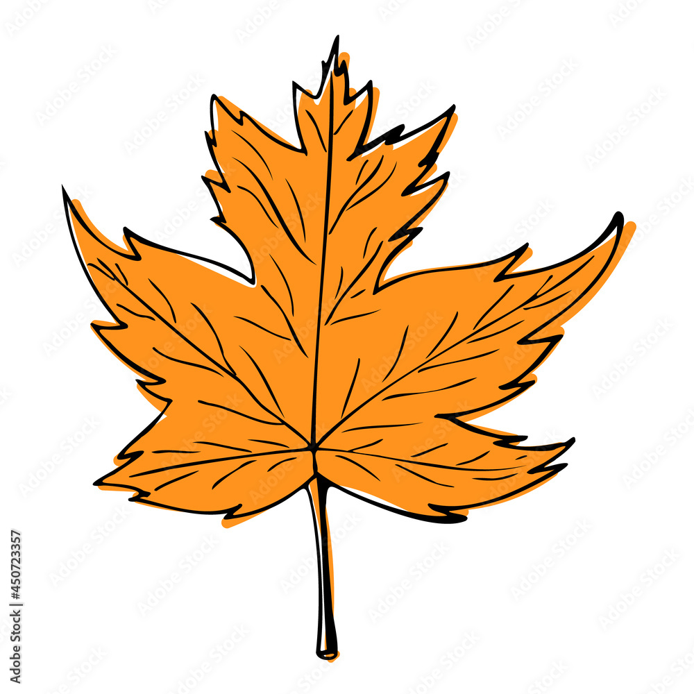 Maple leaf sketch illustration. Hand drawn maple leaf Vector illustration, isolated on white background. Maple leaf sketch illustration. Hand drawn maple leaf Vector illustration, isolated on white background.