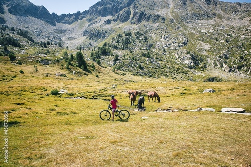 Mountain landscapes. Lakes of the principality of Andorra in summer. Ski slopes in summer. Wild animals, cows and horses.