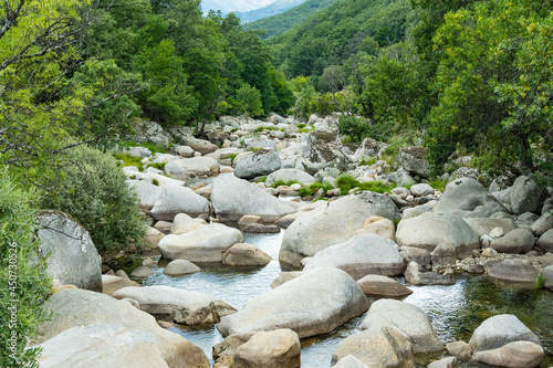 Río entre rocas en bosque verde