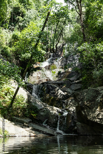 Cascada en bosque verde entre rocas