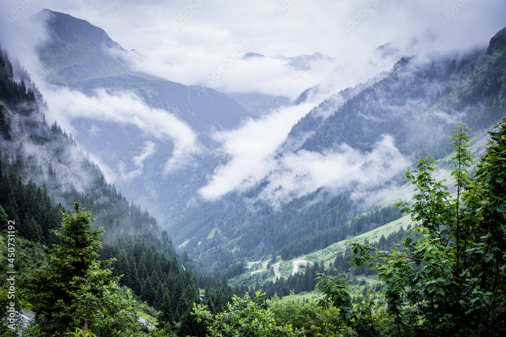 Obraz premium Deep clouds over the fir trees in the Austrian Alps - Vorarlberg region - travel photography