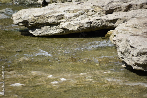 Walnut Creek at Walnut Creek Park, Austin TX (ID: 450731122)