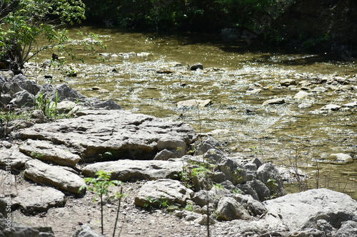 Walnut Creek at Walnut Creek Park, Austin TX (ID: 450731140)